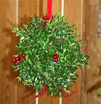 Boxwood balls are a festive holiday favorite!