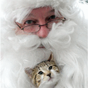 Santa with kitten