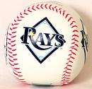 Rays baseball