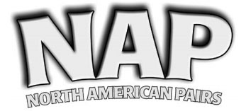 NAP Logo