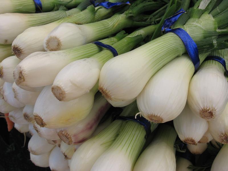 sweet spring onions