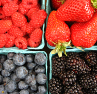 four types of berries