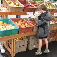 kid shopping for apples on his tip toes