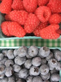 Closeup of Raspberries and Blueberries