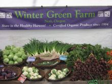 Winter Green Farm Display