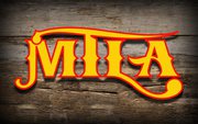 MTLA logo_Midwest Texas Longhorn Association