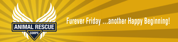Furever Friday Banner
