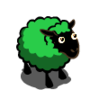 Green Ewe