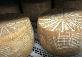 aged cheese barinaga 