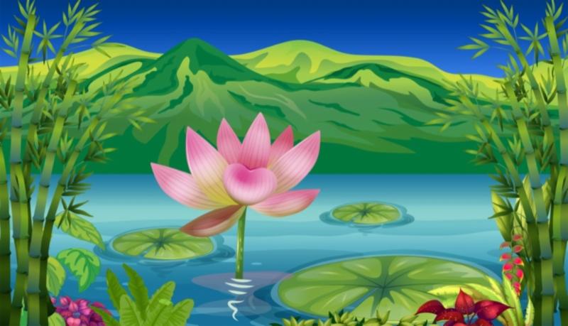 Lotus on a lake