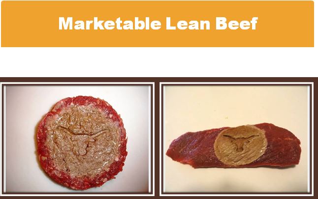 Marketable Lean Beef_Brown