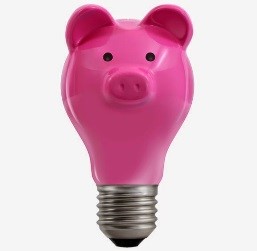 Idea Bank Pig