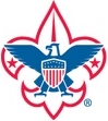 BSA logo color