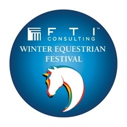 2013 WEF logo